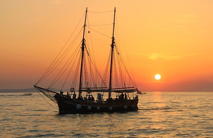 photo of Dolphin Boat Trip (half day)